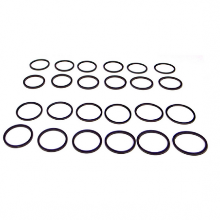 Kit piston et segments anti-poussière 27P CPR365 01 / V-MAXX pour étriers 355 et 365 mm (VM05/06)