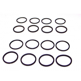 Kit piston et segment anti-poussière étriers 330 mm (VM01/02) 27P CPR330 01 / V-MAXX