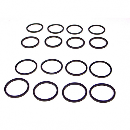 Kit piston + segment anti-poussière pour étriers de 290 mm (VM03/04) V-MAXX