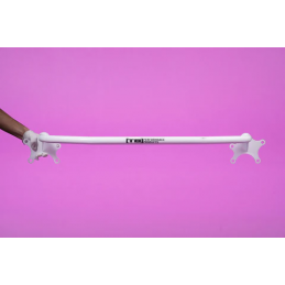 Barre de protection arrière Ford Fiesta ST (2014-2019)