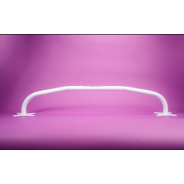 Barre de protection arrière Ford Focus RS  MK3 (2016-2018)