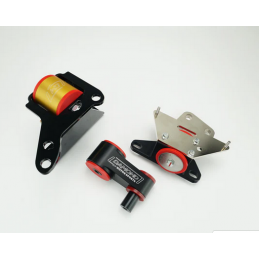 Ensemble complet de supports Fiesta ST