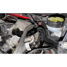 Kit gros papillon Focus RS MK3