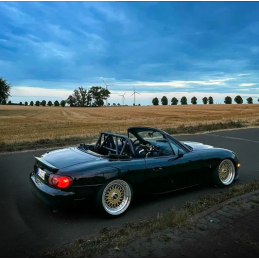 Arceau de sécurité MX-5 NA/NB V