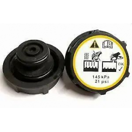 Vase d'expansion Ford d'origine et bouchon de qualité d'origine Ford Focus ST/RS MK2