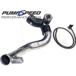 Kit de soupape de décharge de suralimentation côté chaud à grand diamètre Pumaspeed Racing pour Fiesta ST Mk8 (BF25)