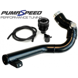 Kit de soupape de décharge de suralimentation côté chaud à grand diamètre Pumaspeed Racing pour Fiesta ST Mk8 (BF25)