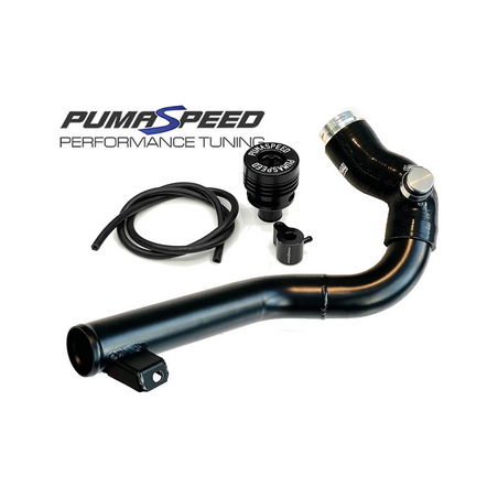 Kit de soupape de décharge de suralimentation côté chaud à grand diamètre Pumaspeed Racing pour Fiesta ST Mk8 (BF25)