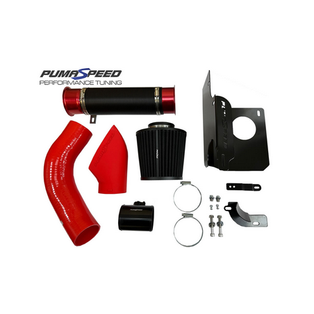Kit d'admission double Gemini Stage 3 Pumaspeed Racing *BF25* - Fiesta ST 1.5T Mk8 - Fiesta ST Mk8