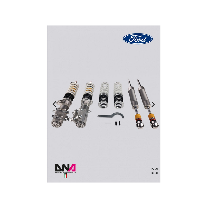 Kit d'amortisseurs DNA Racing WRS Fiesta ST MK7