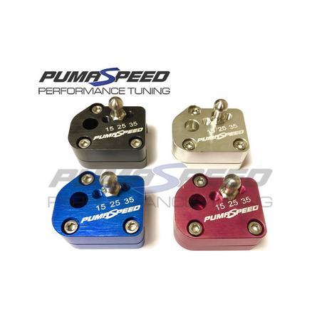 Pumaspeed Puma 1.0l mHEV Quickshifter - 1.0 EcoBoost mHEV 155 ch