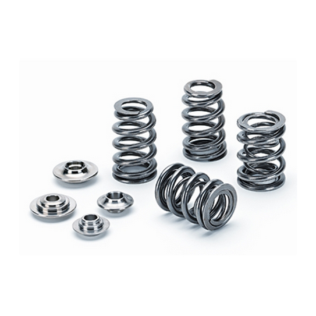 Supertech Valve Spring Kit Ford/Mazda 2.0L/2.3L Duratec