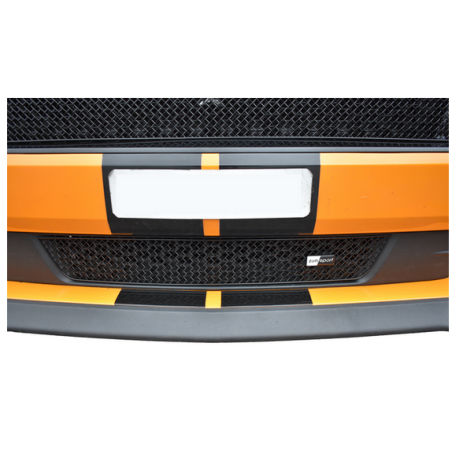 Grille inférieure Ford Mustang GT Facelift