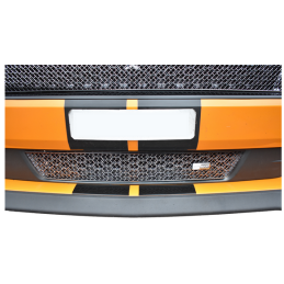 Grille inférieure Ford Mustang GT Facelift