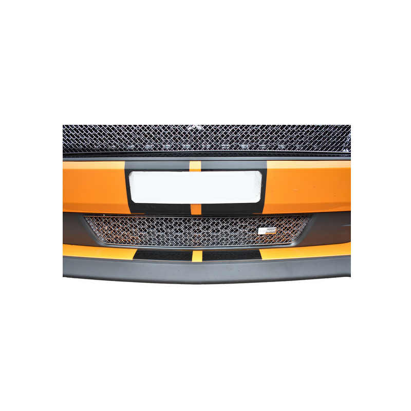 Grille inférieure Ford Mustang GT Facelift