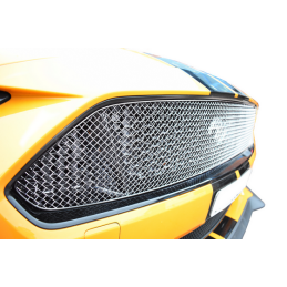 Grille supérieure Ford Mustang GT Facelift