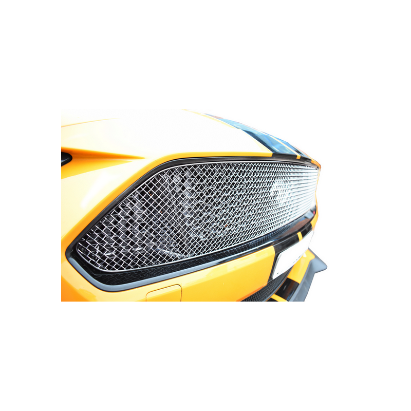 Grille supérieure Ford Mustang GT Facelift