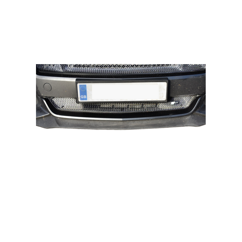 Grille inférieure Ford Mustang GT