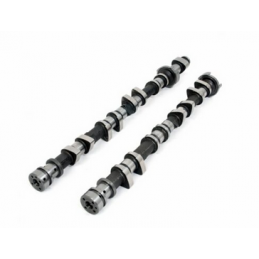 AAC Rally Fiesta ST 180