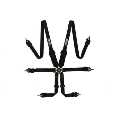 Harnais de sécurité QSP 6 points Pro Plus FIA - Noire