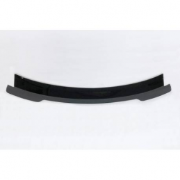 Aileron Ford Mustang GT350 R 2015-2019 Aileron Ford Mustang GT350 R 2015-2019