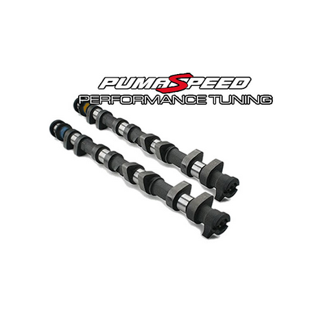 Kit d'arbre à cames profilé Pumaspeed (190 PLUS)