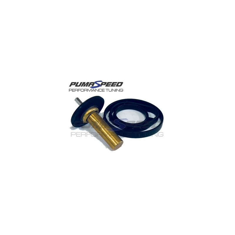 Kit thermostat Pumaspeed Racing 1.6 EcoBoost - Fiesta ST180 Mk7 Kit thermostat Pumaspeed Racing 1.6 EcoBoost - Fiesta ST180 Mk7