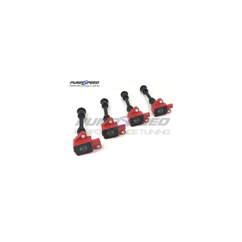 Bobines d'allumage Pumaspeed Racing pour Ford Fiesta ST180 1.6 EcoBoost V2 – Fiesta ST180 Mk7