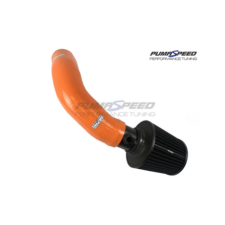 Système d'admission d'air froid Pumaspeed Cyclone Fiesta ST Mk8 1.5T