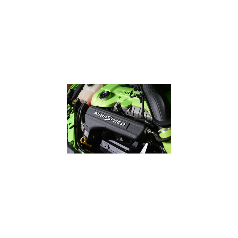 Plénum d'admission conique Pumaspeed Focus ST225 avec logo - Focus ST225 / XR5 Turbo