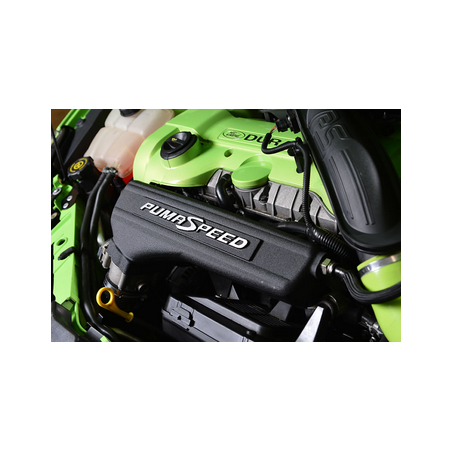 Plénum d'admission conique Pumaspeed Focus ST225 avec logo - Focus ST225 / XR5 Turbo