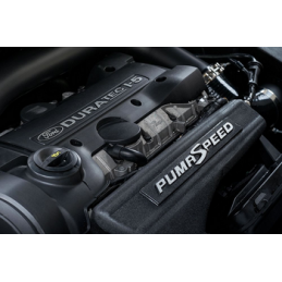 Plénum d'admission conique Pumaspeed Focus ST225 avec logo - Focus ST225 / XR5 Turbo