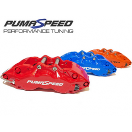 Kit de freins Pumaspeed Racing 6 pistons 356 mm pour Focus RS Mk2 2009 Kit de freins Pumaspeed Racing 6 pistons 356 mm pour Focus RS Mk2 2009
