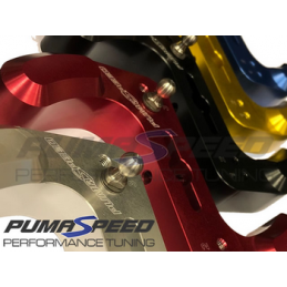 Quickshift Pumaspeed Focus Mk3 RS/ST – Focus Mk3 ST (250 ch) Quickshift Pumaspeed Focus Mk3 RS/ST – Focus Mk3 ST (250 ch)