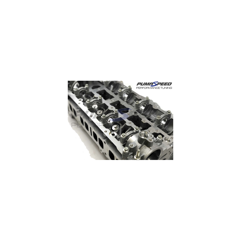 Culasse Ford 2.3 EcoBoost d'origine neuve - Focus RS Mk3 2.3T Culasse Ford 2.3 EcoBoost d'origine neuve - Focus RS Mk3 2.3T