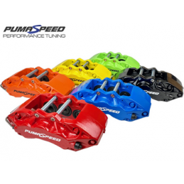 Kit de freins Pumaspeed Racing 6 pistons 355 mm pour Focus RS Mk3 – Focus Mk3 ST (250 ch)