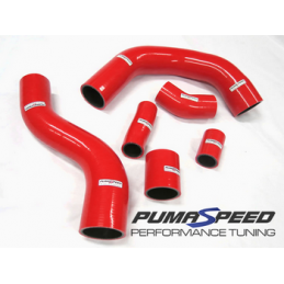 Durites de suralimentation en silicone 4 plis Fiesta ST180 Mk7