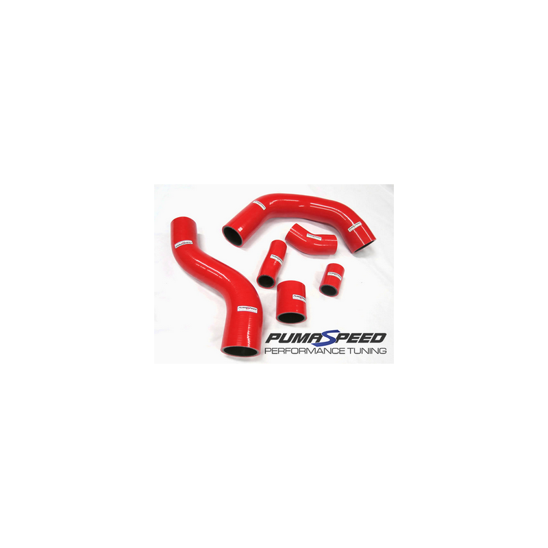 Durites de suralimentation en silicone 4 plis Fiesta ST180 Mk7