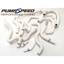 Ensemble de durites auxiliaires en silicone Fiesta ST180 Mk7 Ensemble de durites auxiliaires en silicone Fiesta ST180 Mk7