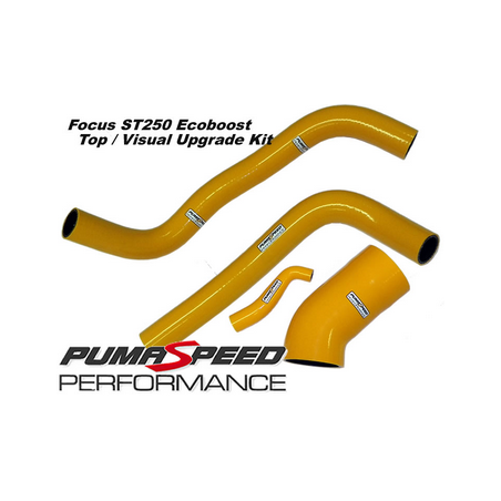 Jeu de 4 durites en silicone Focus Mk3 ST (250 ch)