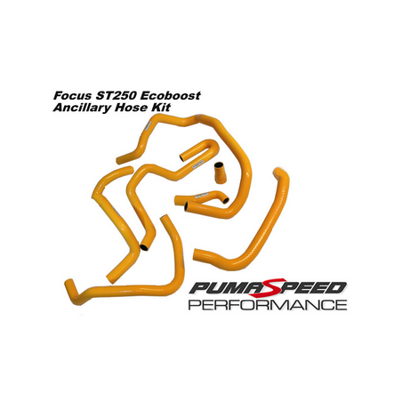 eu de 7 durites auxiliaires en silicone Focus Mk3 ST (250 ch)