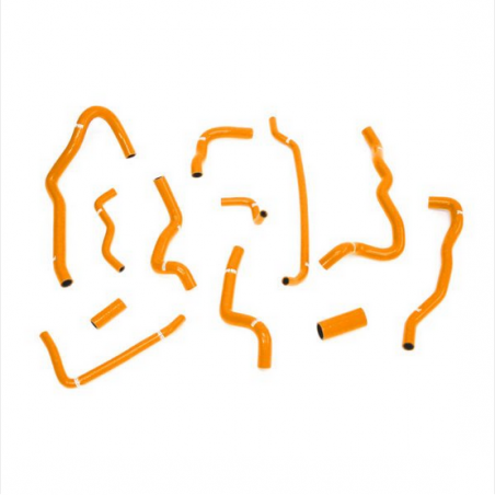 Kit de tuyaux auxiliaires Pro Hoses Fiesta Mk8 ST-200