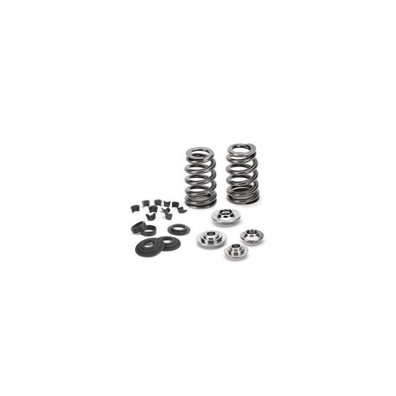 Kit de ressorts de soupape Supertech Ford 2.5 RS / Volvo B5254T4 Kit de ressorts de soupape Supertech Ford 2.5 RS / Volvo B5254T4