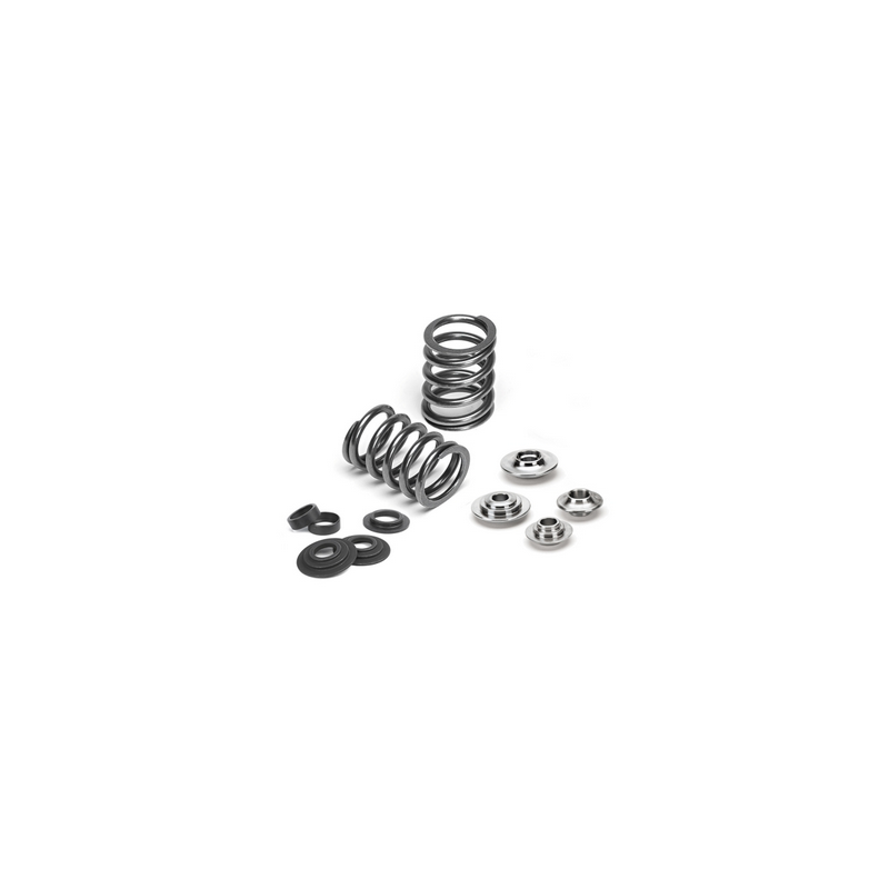 Kit de ressorts de soupape Supertech Ford 2.5 RS / Volvo B5254T4 Kit de ressorts de soupape Supertech Ford 2.5 RS / Volvo B5254T4