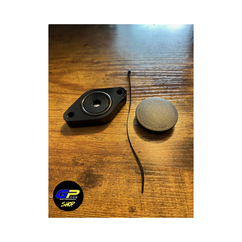 SUPPRESSION DE SOUND SYMPHOSER FOCUS ST MK3