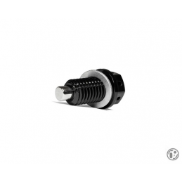 Bouchon de carter magnétique 09D Focus ST Mk3/Mk4/Mk4.5 - Focus RS Mk3