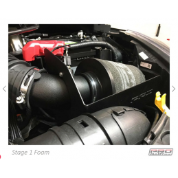Kit d'induction Étape 1 Fiesta ST MK8