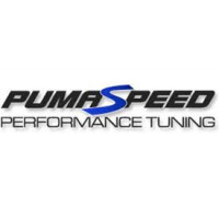 Pumaspeed