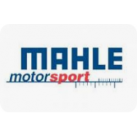 MAHLE MOTORSPORT